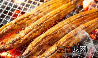 怎么晾晒海鳗鱼干 晾晒海鳗鱼干的方法