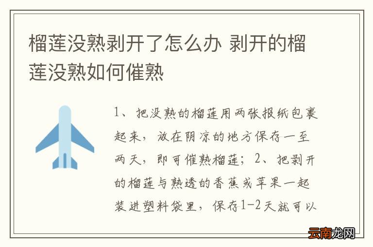 榴莲没熟剥开了怎么办 剥开的榴莲没熟如何催熟