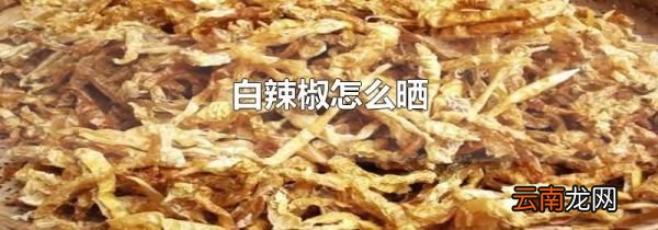 白辣椒怎么晒