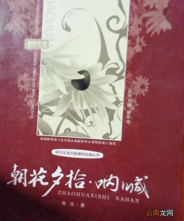 鲁迅先生的文章是怎样的