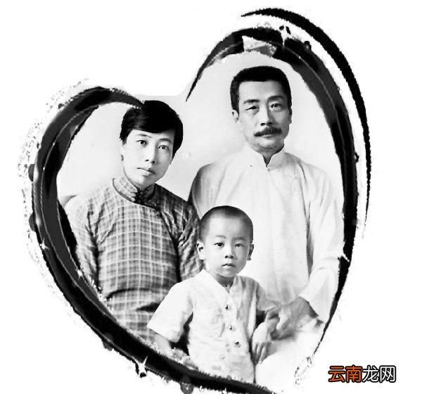 鲁迅先生的文章是怎样的