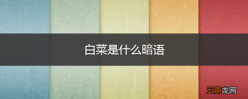 白菜是什么暗语
