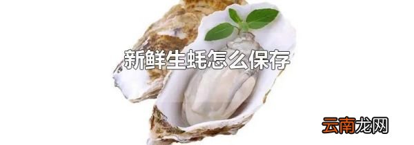 新鲜生蚝怎么保存
