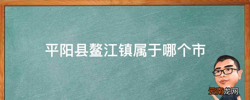 平阳县鳌江镇属于哪个市
