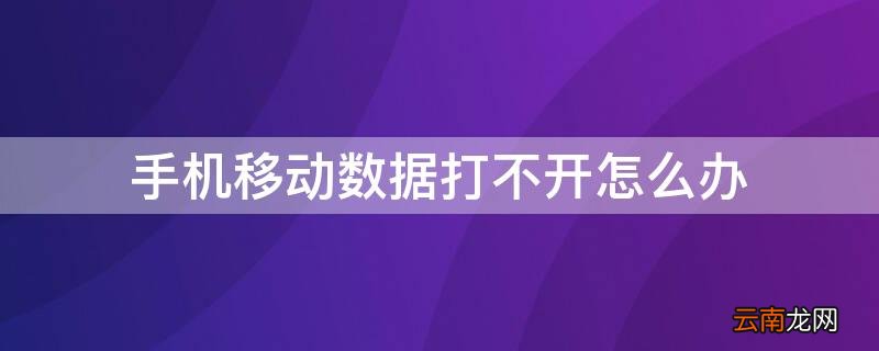 手机移动数据打不开怎么办 为啥手机移动数据打不开