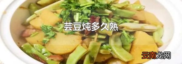 芸豆炖多久熟
