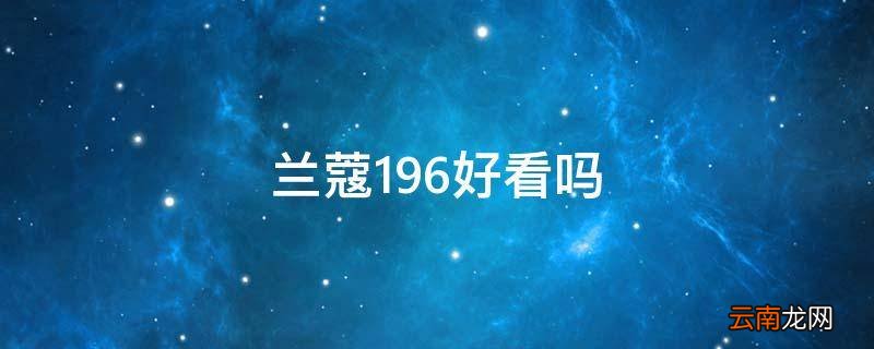 兰蔻196好看吗