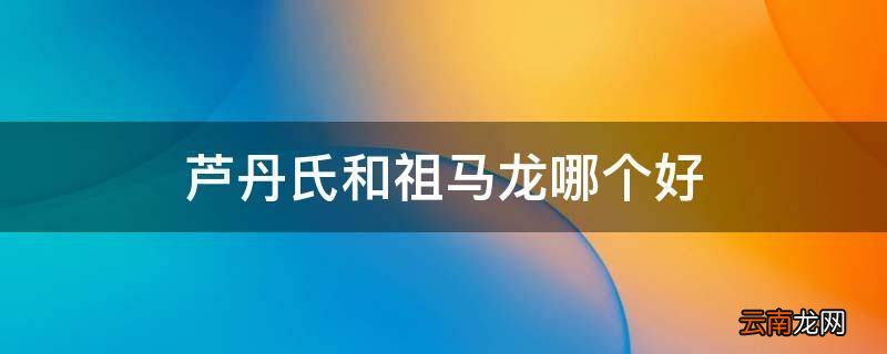 芦丹氏和祖马龙哪个好