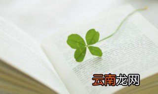 贵的组词 贵怎么组词