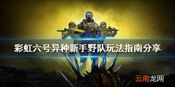 彩虹六号异种萌新如何入门 新手野队玩法指南分享