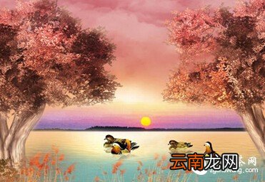 茶，陈了。人，久了