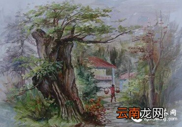 茶，陈了。人，久了