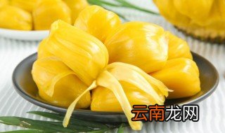 菠萝蜜怎么发芽? 发芽了的菠萝蜜怎么种