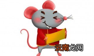书香代表什么生肖 书香代表啥生肖