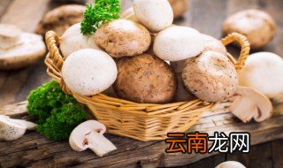 做好的平菇能放冰箱保鲜吗 平菇可以放冰箱保鲜吗