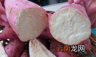 白薯需要放冰箱吗 白薯能放冰箱里保鲜吗
