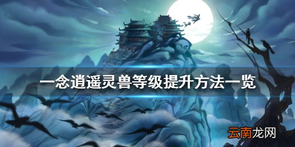 一念逍遥灵兽等级怎么提升 一念逍遥灵兽等级提升方法一览