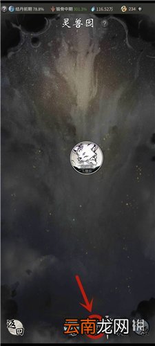 一念逍遥灵兽怎么上阵 一念逍遥灵兽上阵方法一览