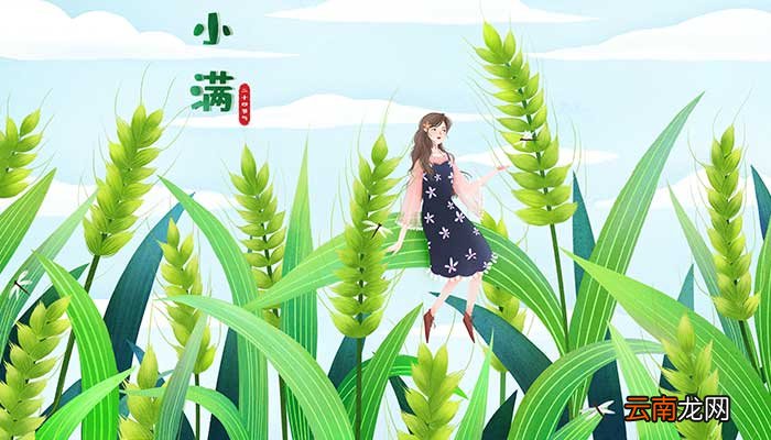 芒种前后节气 芒种前后节气是什么