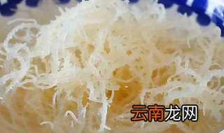 石花菜怎么做才会脆，为什么石花菜凉拌后不脆了