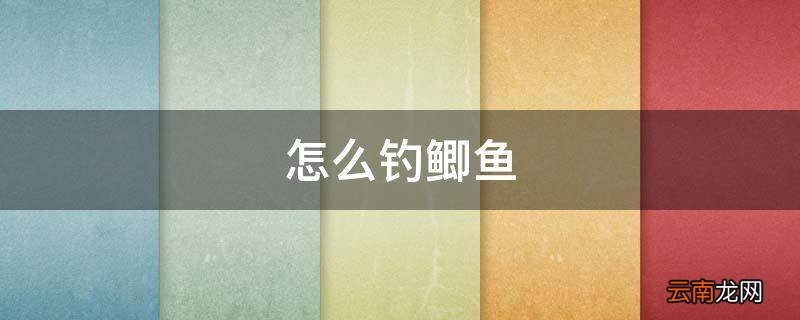 怎么钓鲫鱼