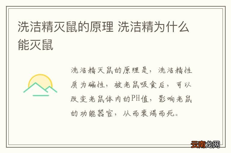 洗洁精灭鼠的原理 洗洁精为什么能灭鼠