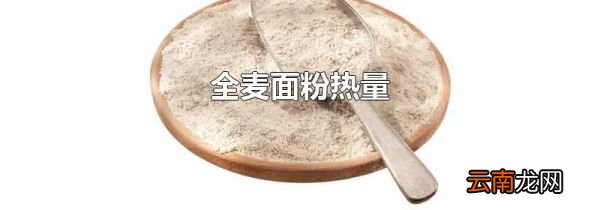 全麦面粉热量