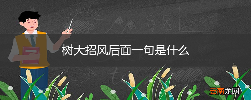 树大招风后面一句是什么