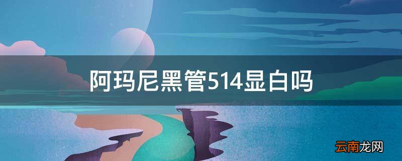 阿玛尼黑管514显白吗