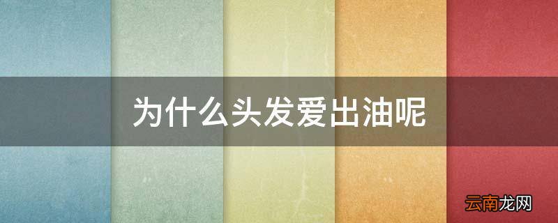为什么头发爱出油呢