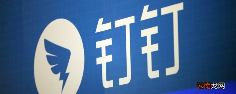 钉钉有投屏功能吗 钉钉能投屏吗
