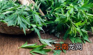 艾草煲鸡蛋 艾叶煮鸡蛋的正确做法