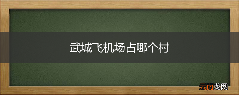 武城飞机场占哪个村