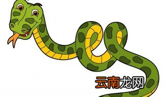 女人做梦梦见蛇是什么意思 女人做梦梦见蛇是啥意思