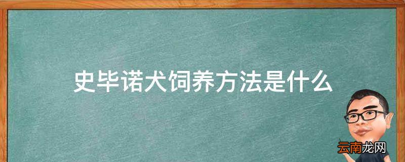 史毕诺犬饲养方法是什么