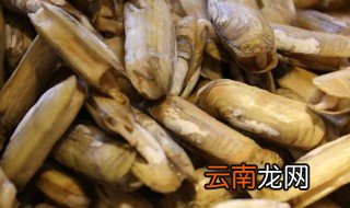什么叫蛏子 蛏子怎么做好吃