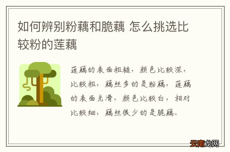 如何辨别粉藕和脆藕 怎么挑选比较粉的莲藕