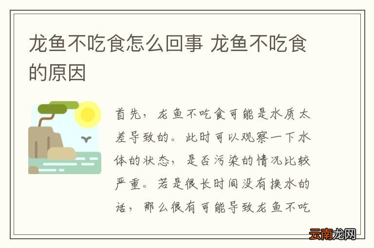 龙鱼不吃食怎么回事 龙鱼不吃食的原因
