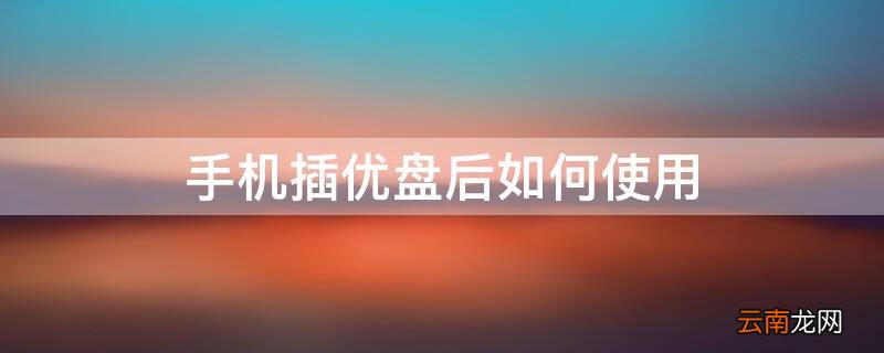 手机插优盘后如何使用 手机插优盘后如何使用蓝牙