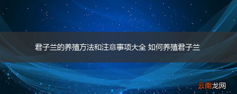 君子兰的养殖方法和注意事项大全 如何养殖君子兰