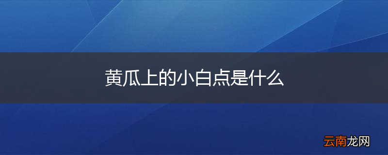 黄瓜上的小白点是什么
