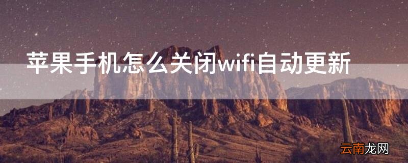 iPhone手机怎么关闭wifi自动更新 苹果手机怎么关掉wifi自动更新