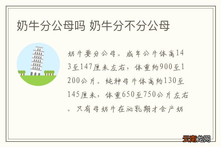 奶牛分公母吗 奶牛分不分公母