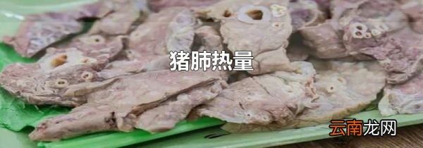 猪肺热量