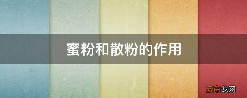 蜜粉和散粉的作用