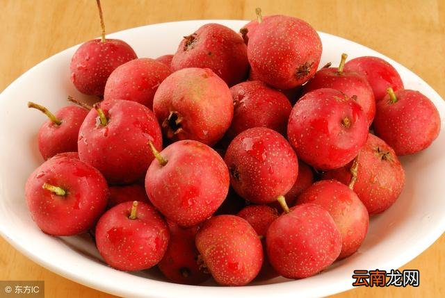 立秋后进补好时机，但也不要盲目进补，这些养生误区你知多少？