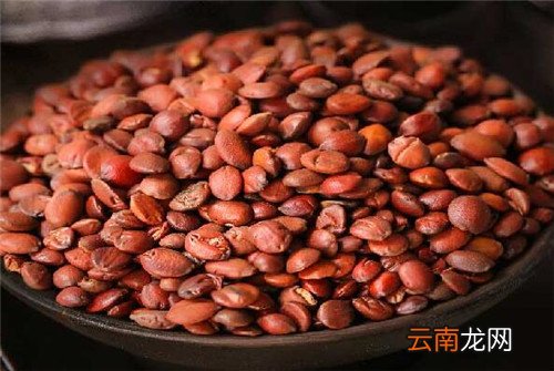 来看看枣仁怎么吃最好呢