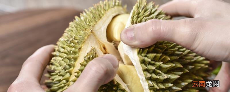 榴莲需要放冰箱冷藏吗 榴莲肉放冰箱可以放几天!
