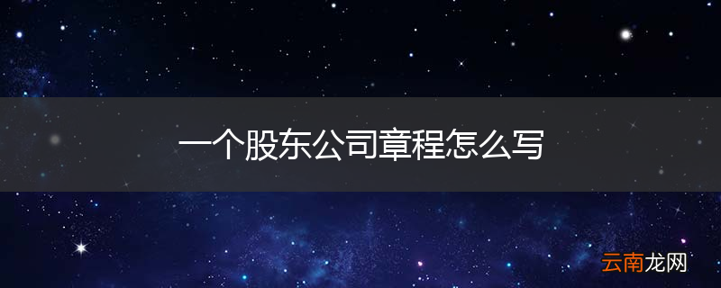 一个股东公司章程怎么写