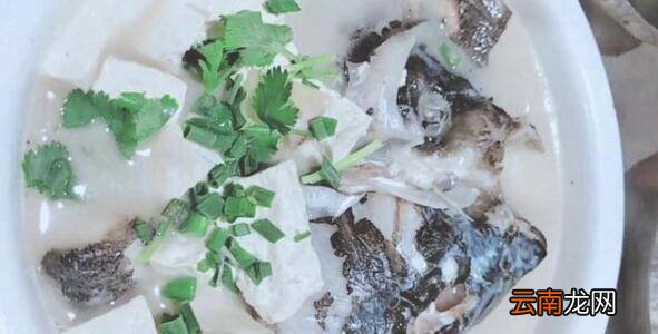 白豆腐鱼头汤怎么做